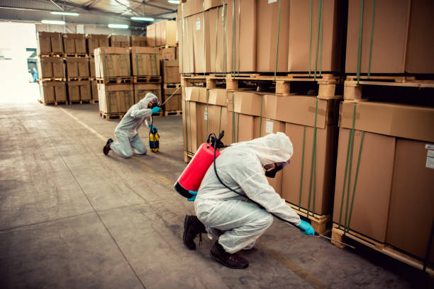 Best Bed Bug Extermination  in Rossville, IN