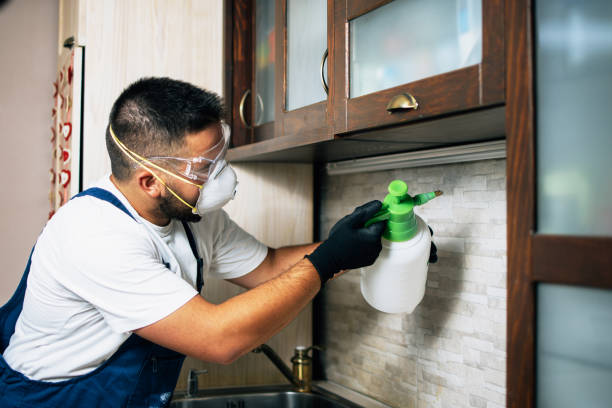 Best Ant Control Services  in Rossville, IN