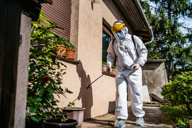 Best Local Pest Control Services  in Rossville, IN