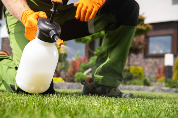 Best Cockroach Control Services  in Rossville, IN