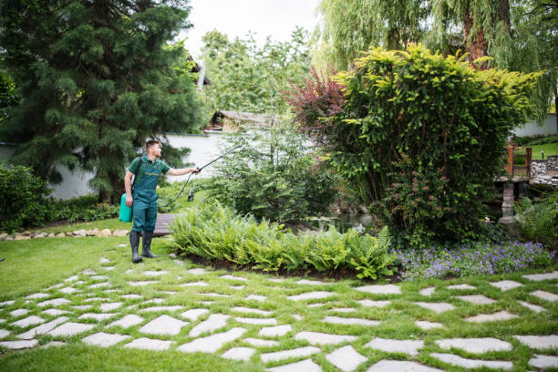 Best Commercial Pest Control Services  in Rossville, IN