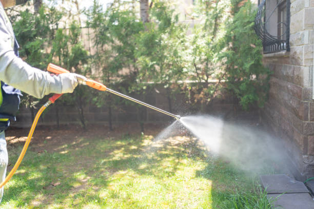 Best Pest Prevention Services  in Rossville, IN