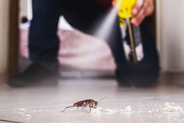 Best Pest Inspection Near Me  in Rossville, IN