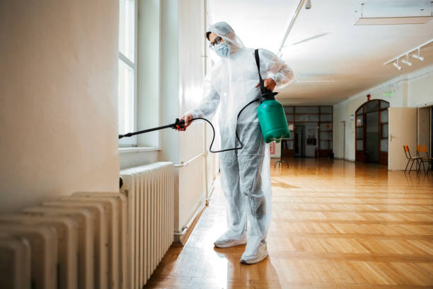 Best Pest Control Near Me  in Rossville, IN