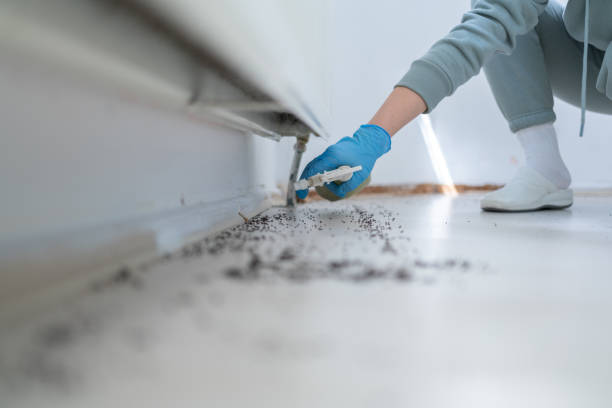Rossville, IN Pest Control Company