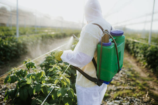  Rossville, IN Pest Control Pros